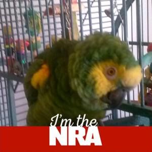 Meet your Posher, Bill